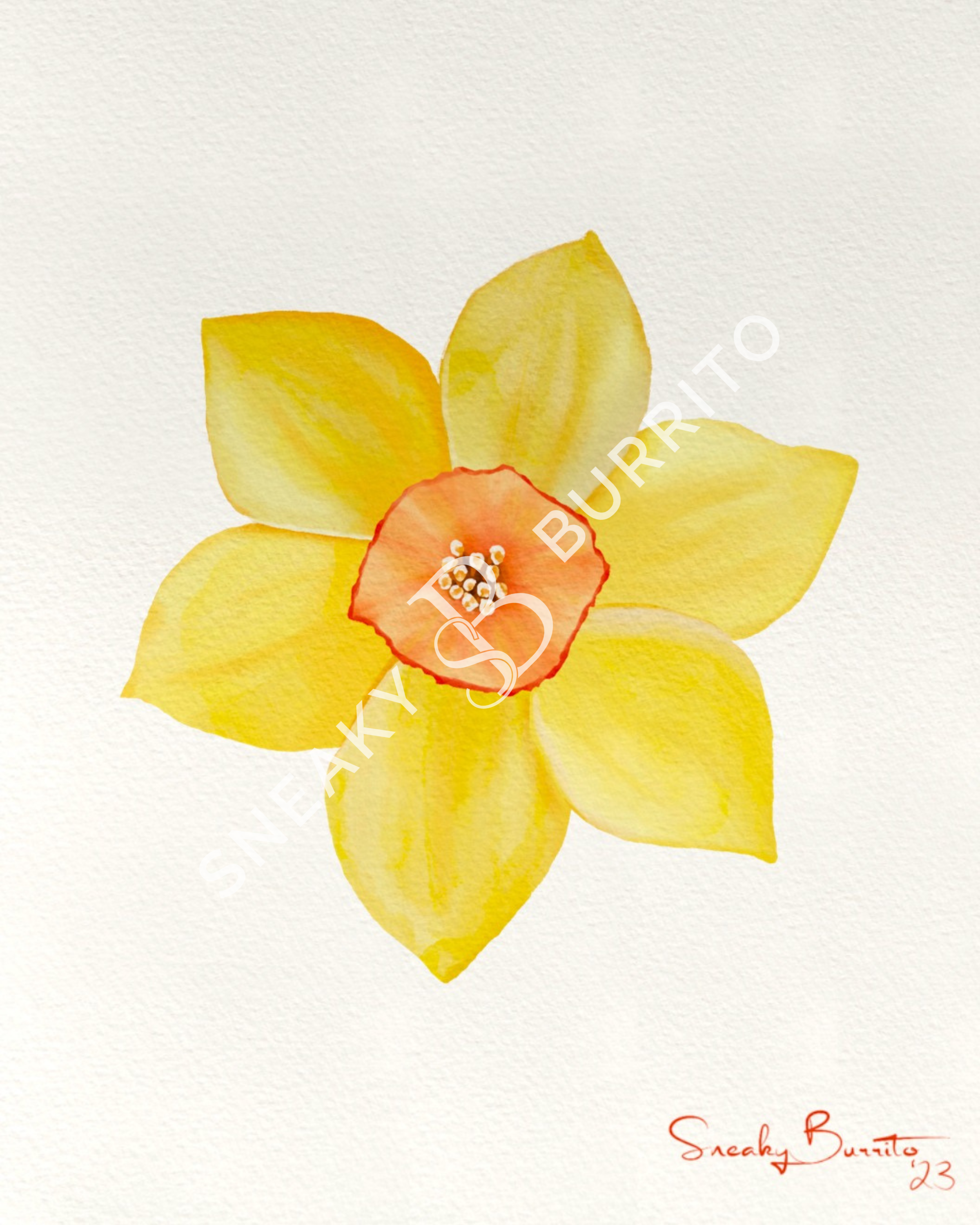 Daffodil art print
