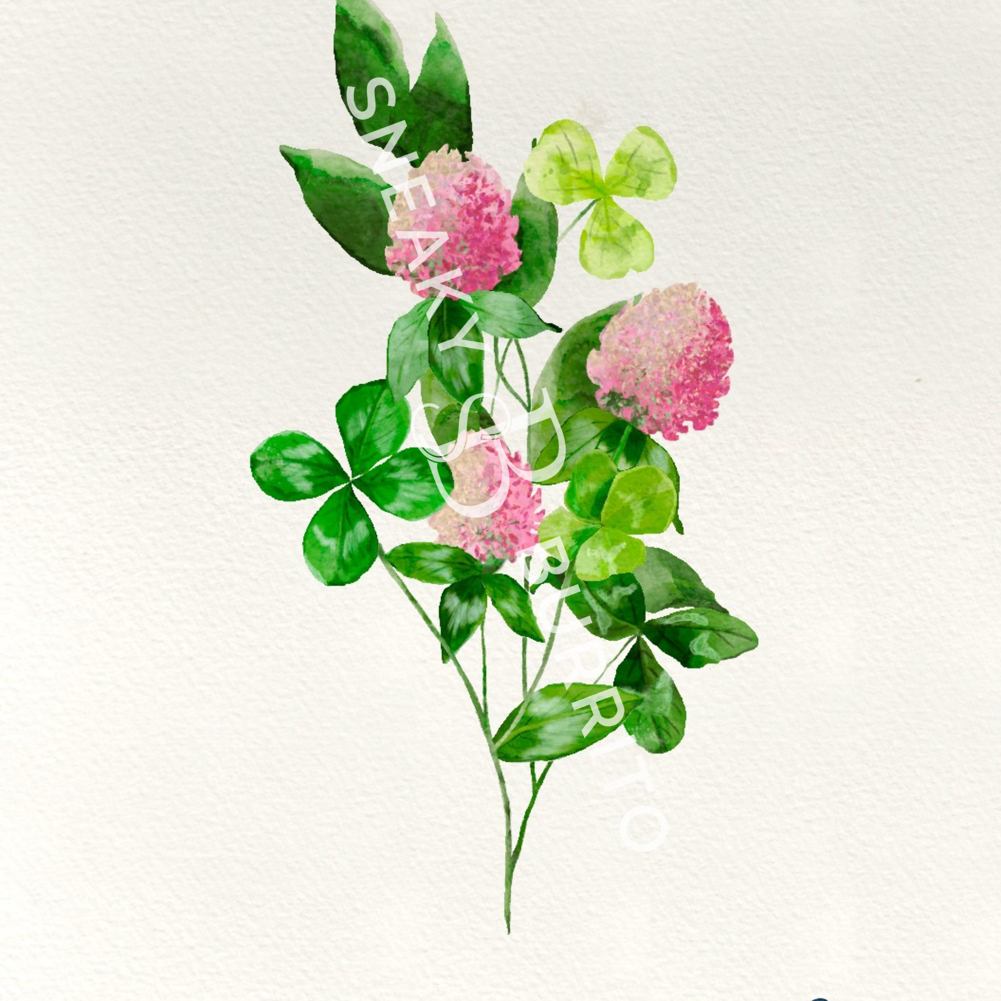 Shamrock & Red Clover art print