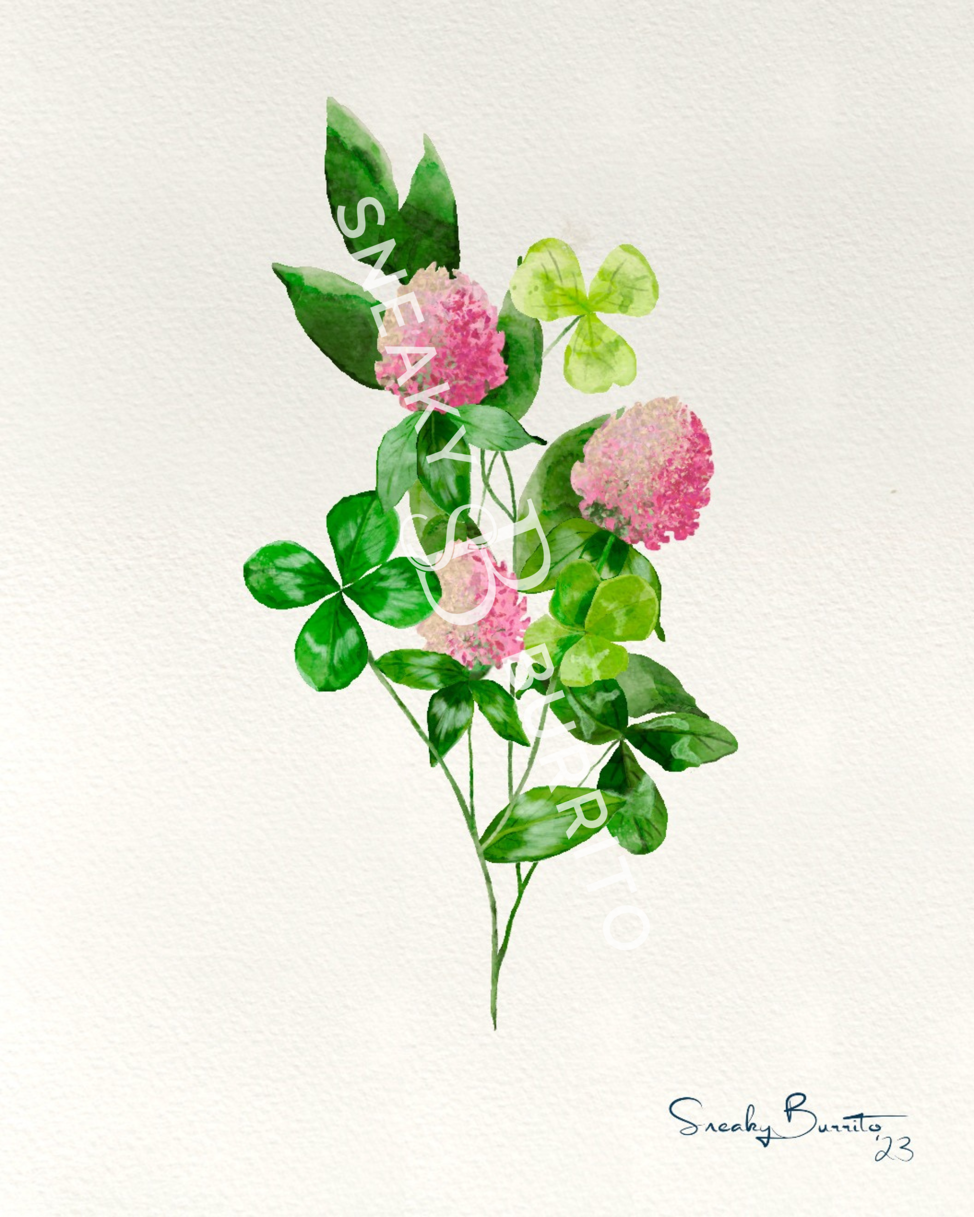 Shamrock & Red Clover art print