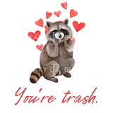 You're Trash, Raccoon greeting card