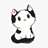Cat sticker and magnet designs