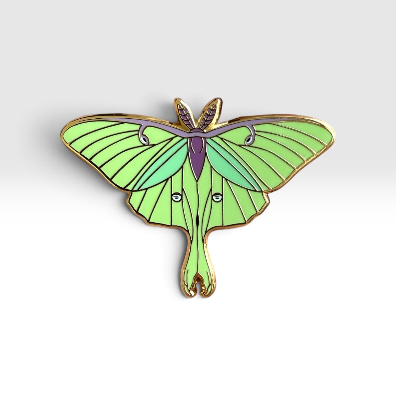 Luna Moth